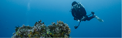 Bermuda ocean science